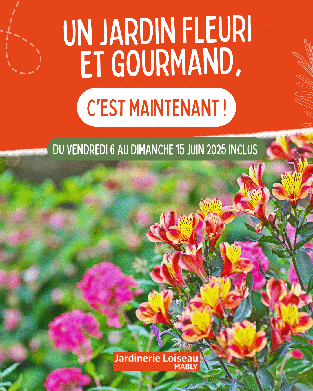 🌸🍅 Un jardin fleuri & gourmand, c’est maintenant ! 🌿✨