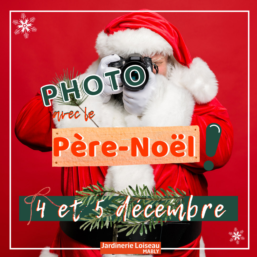 Photo avec le Père-Noël ! 