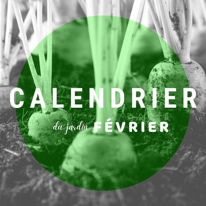 Calendrier du jardin de février