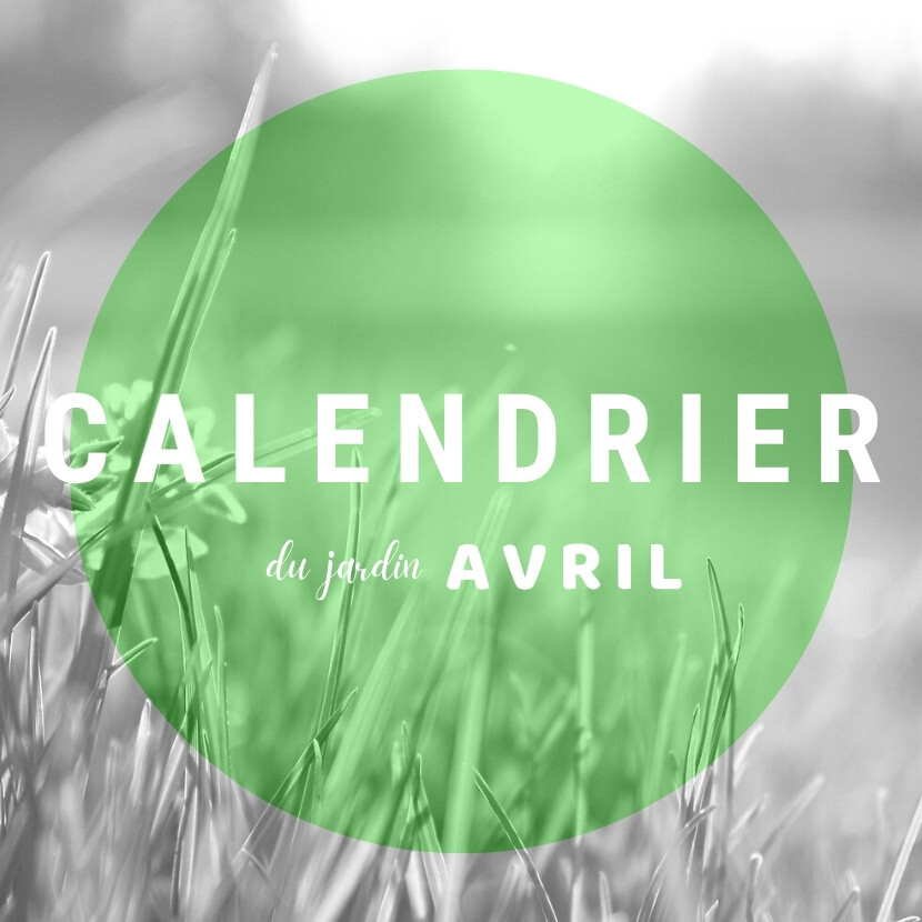 Calendrier du jardin - Avril