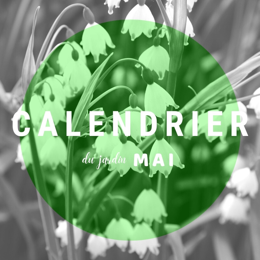 Calendrier du jardin - Mai