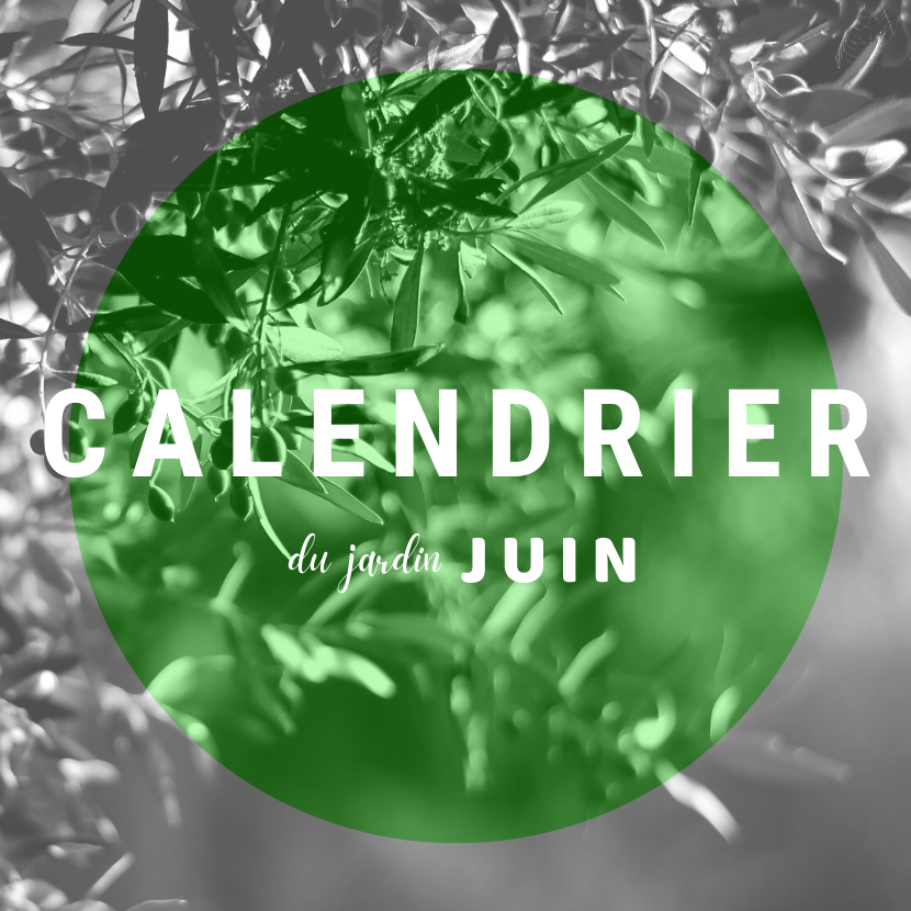 Calendrier du jardin de juin