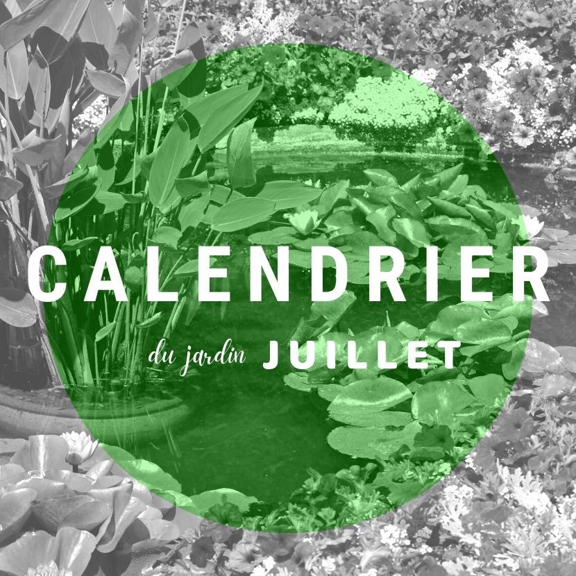 Calendrier du jardin de juillet