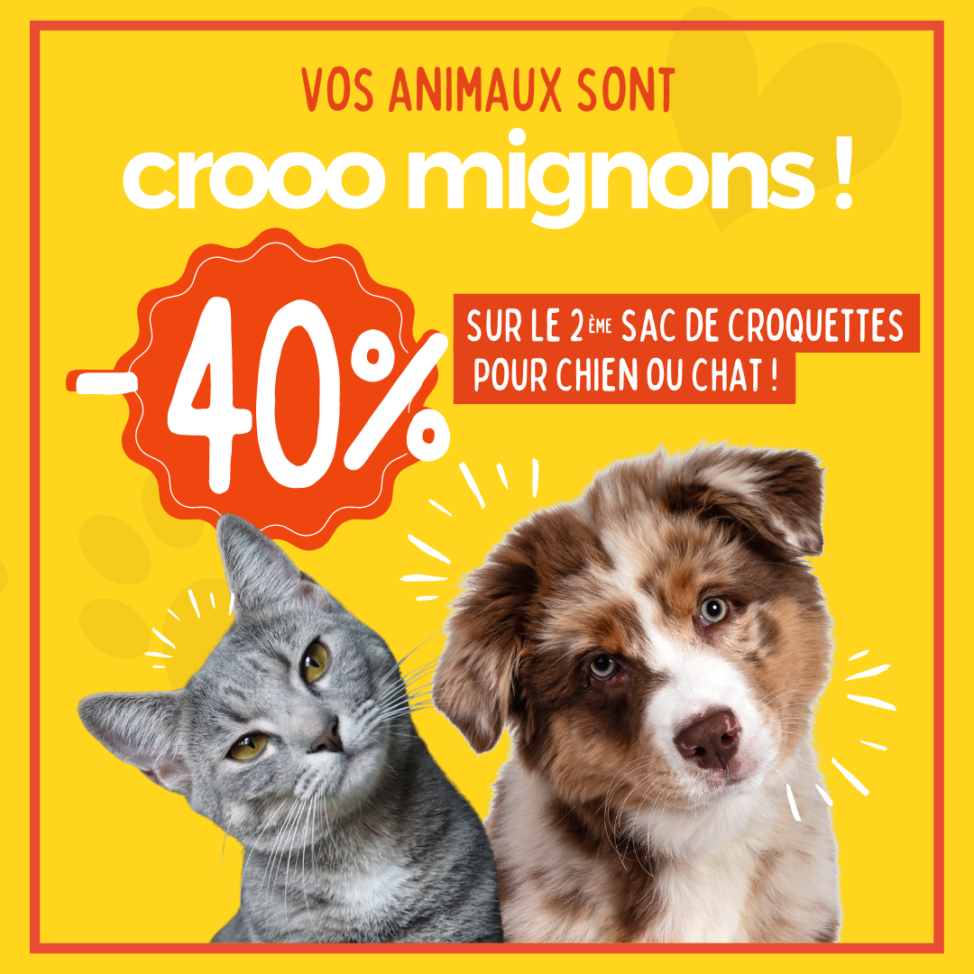 Une offre à croquer !