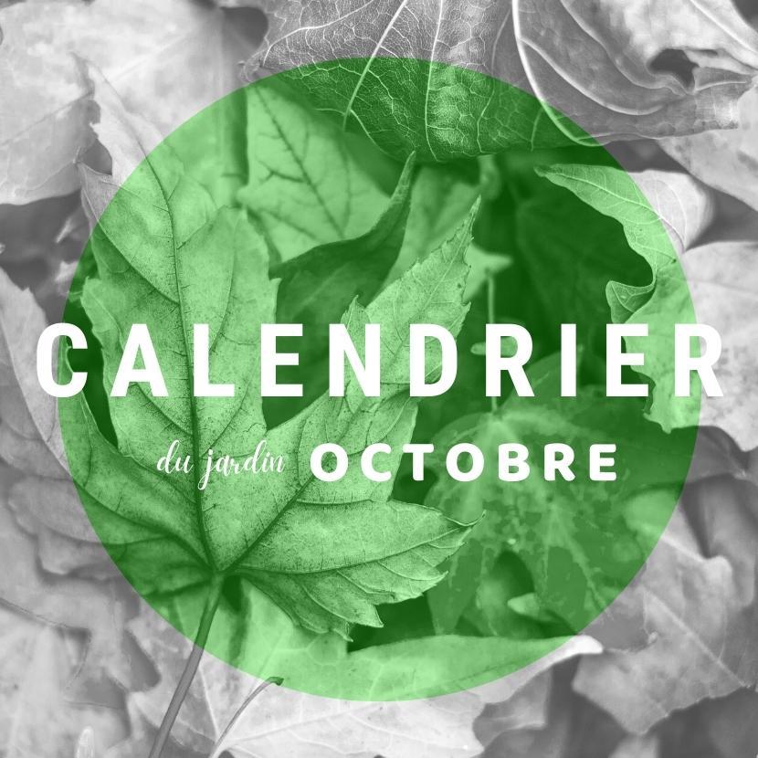 Calendrier du jardin - octobre !