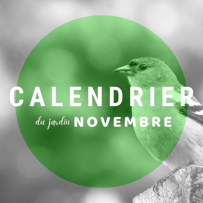 Calendrier du jardin - novembre !