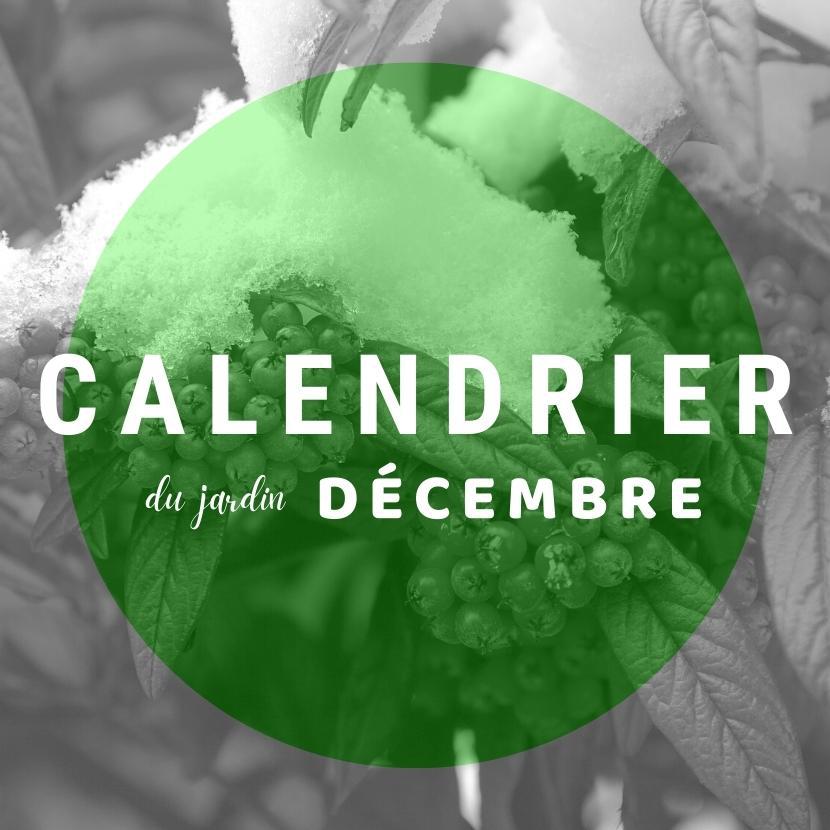 Calendrier du jardin - decembre !