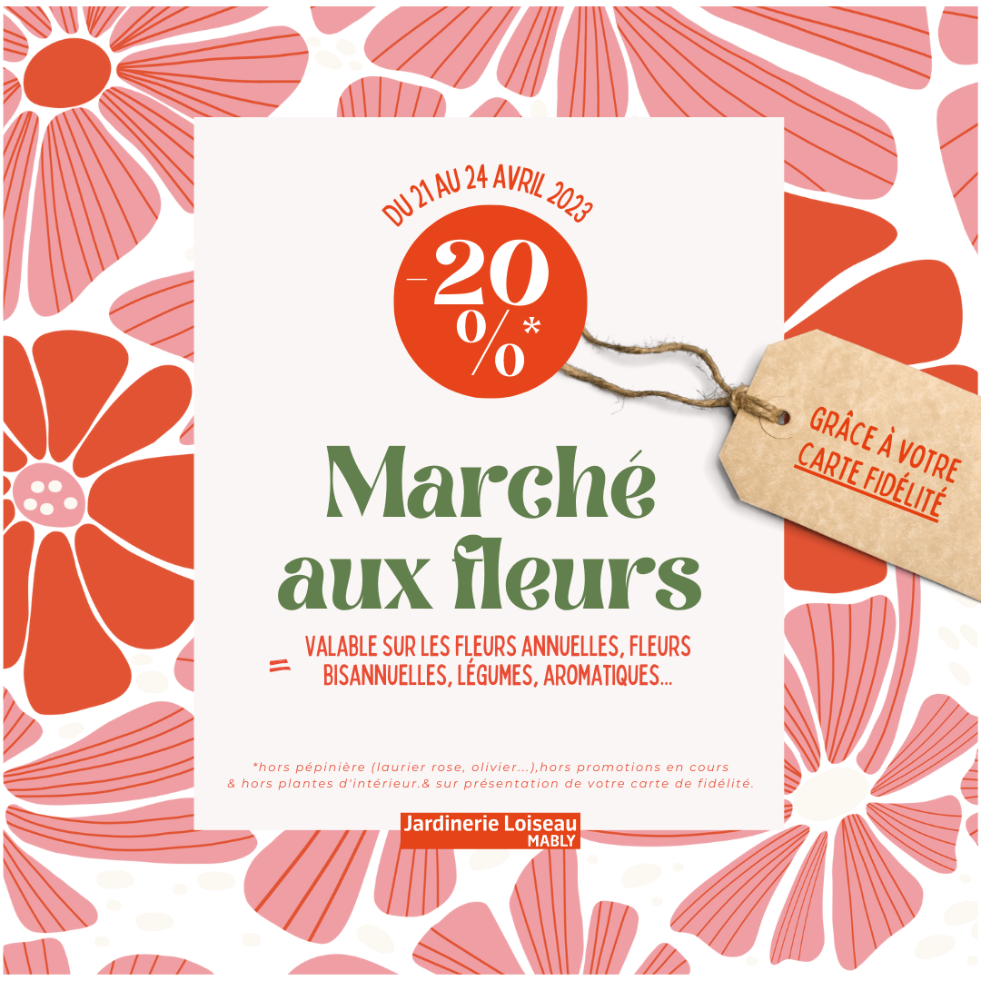 Promotions sur le marché aux fleurs !