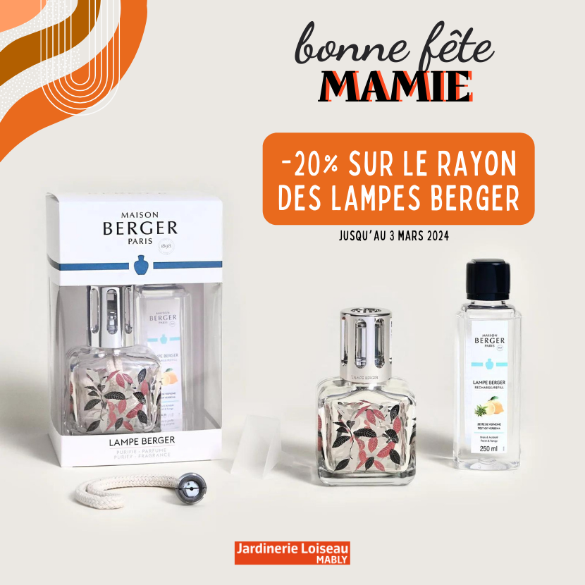 Fête des Grands-Mères : Offre Spéciale sur les Lampes Berger !