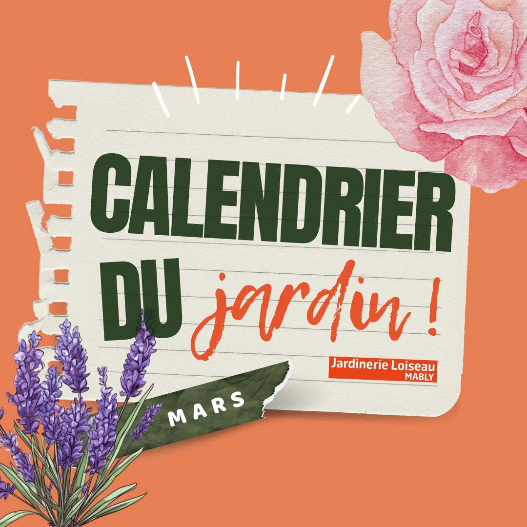 Calendrier du Jardin - Mars !