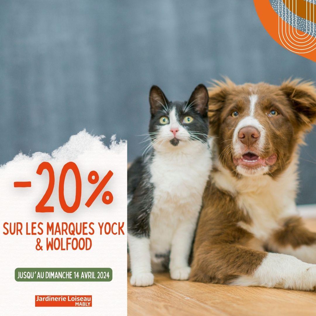 -20% sur les marques Yock et Wolfood