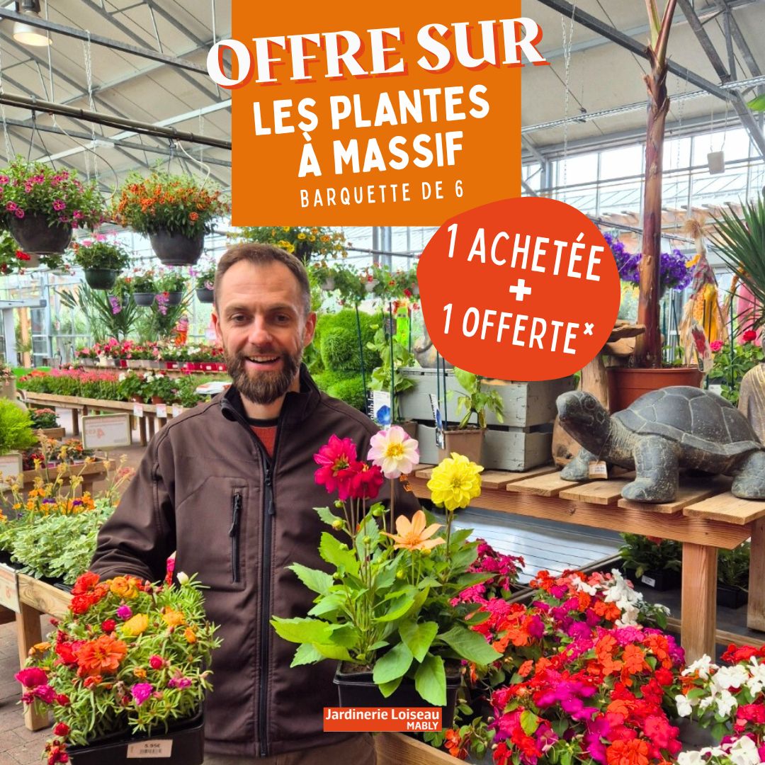 Une offre pour chouchouter vos massifs !