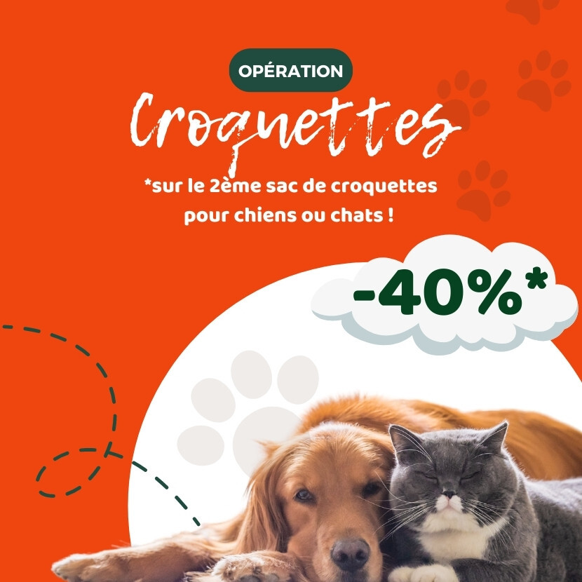 Place à l'opération croquettes! 😻🐶