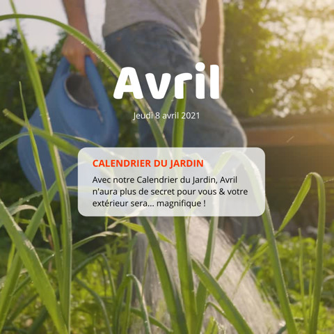 Jardin en avril