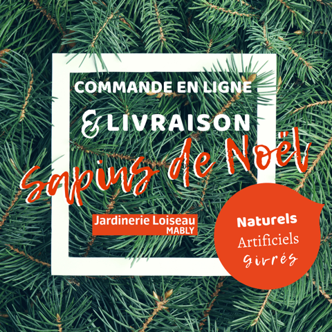 Jardinerie Loiseau - Faites-vous livrer votre sapin de Noël !