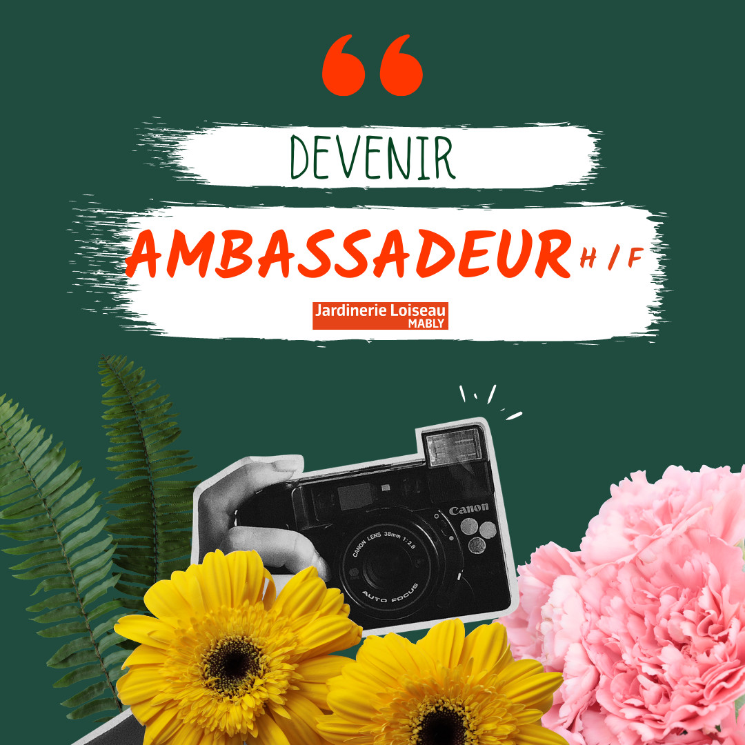 Recherche ambassadeurs