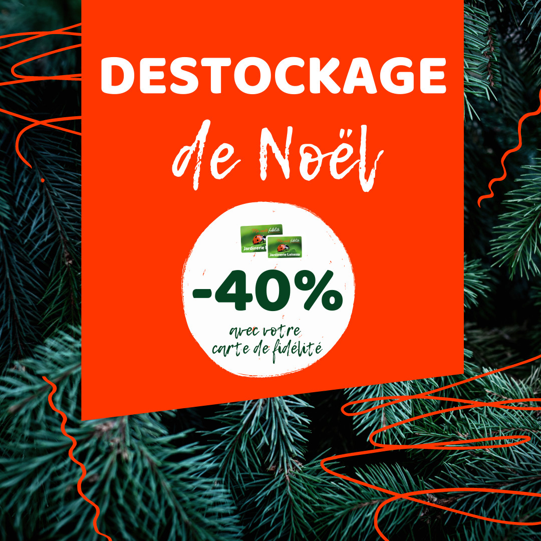 déstockage de noel