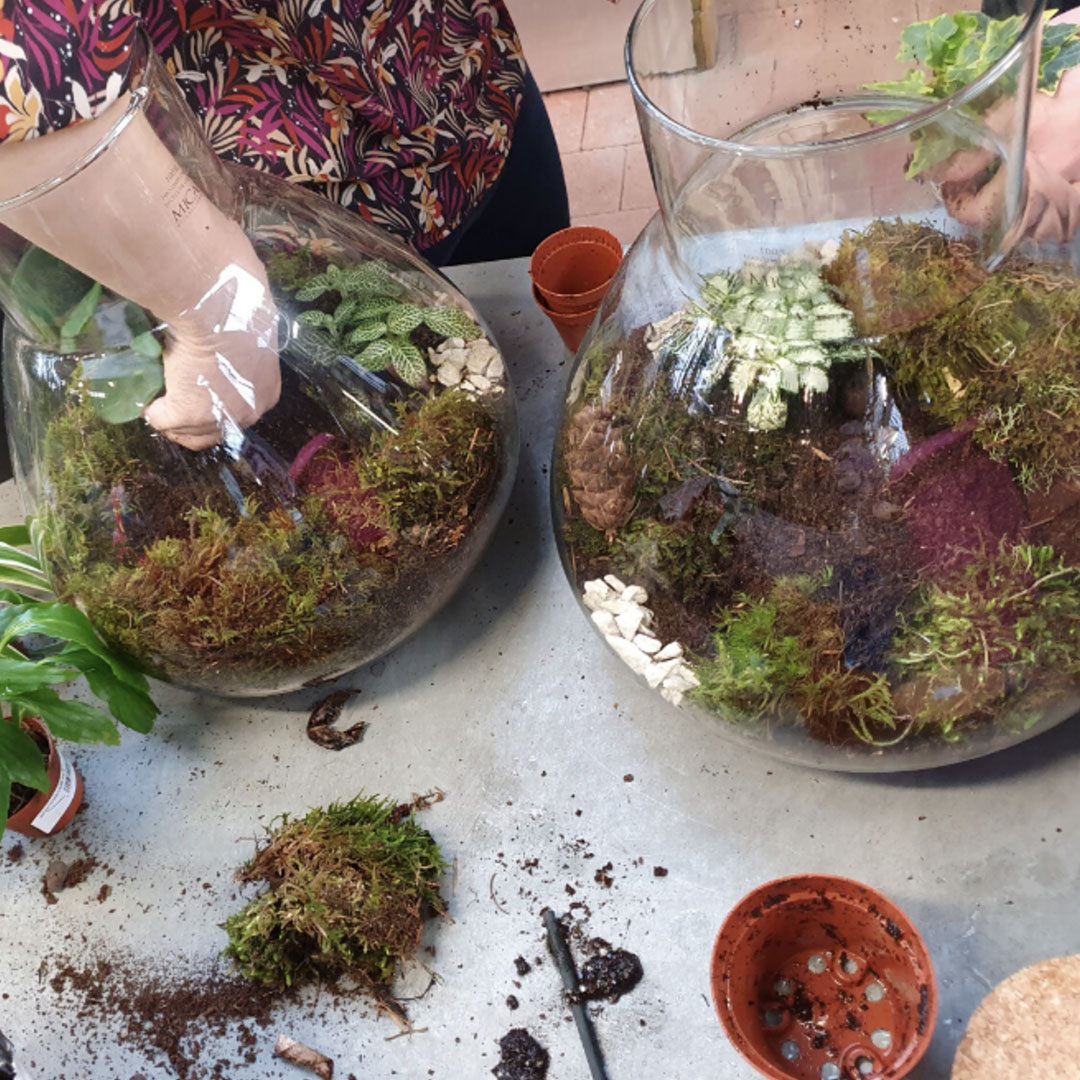 atelier jardinerie loiseau