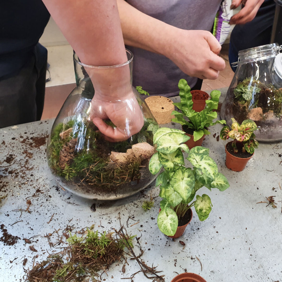 atelier jardinerie loiseau