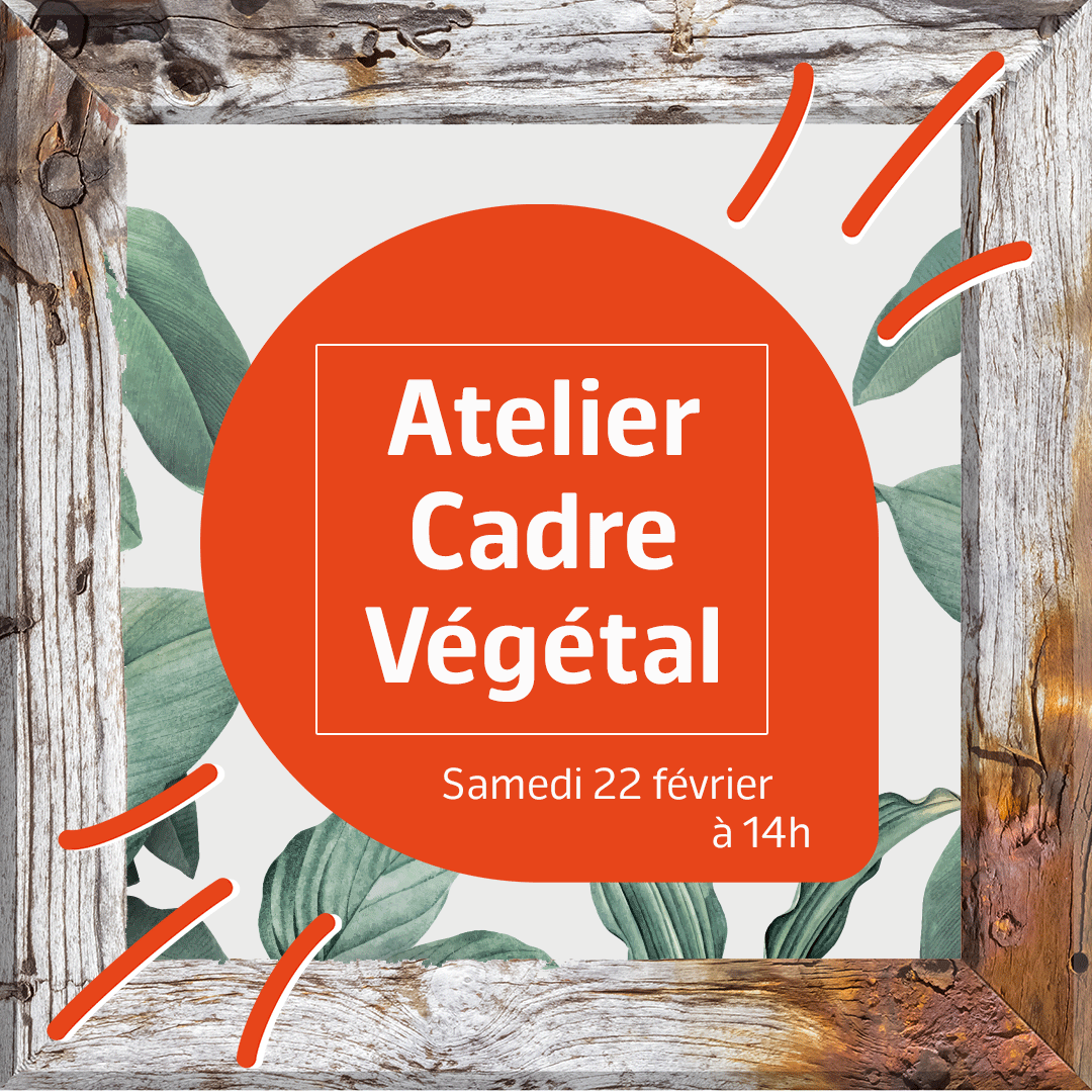 Atelier Cadre Végétal !