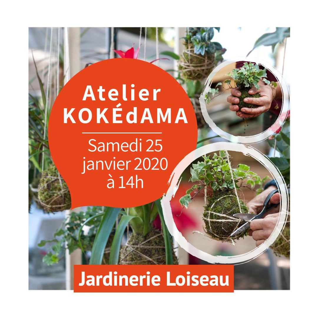 Atelier KOKÉDAMA !