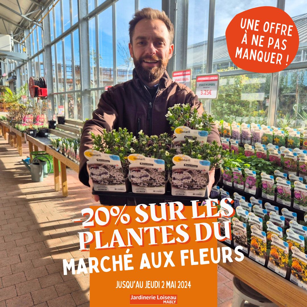 -20% sur le marché aux fleurs !