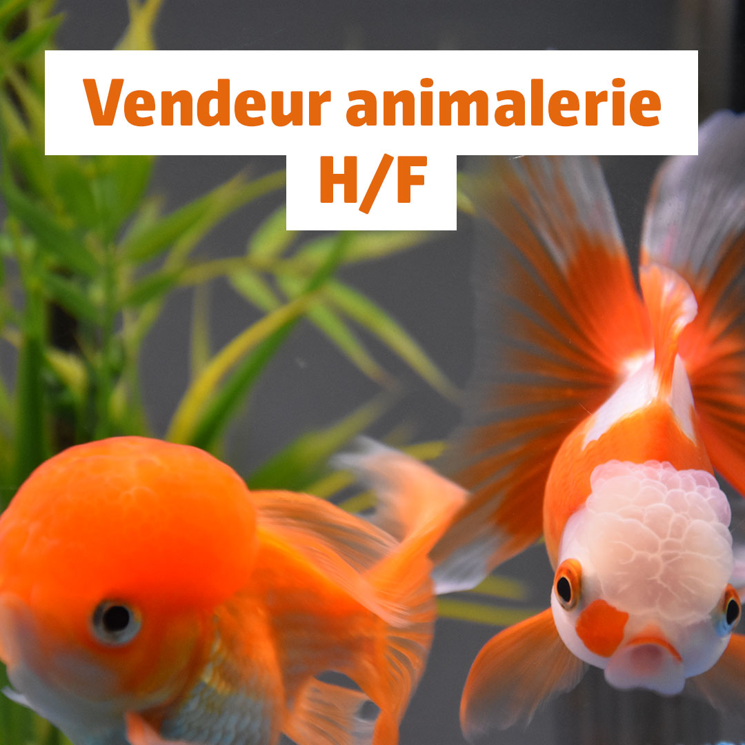 Jardinerie Loiseau - Offre emploi vendeur animalerie