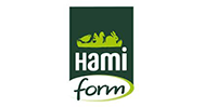 logo hami-form